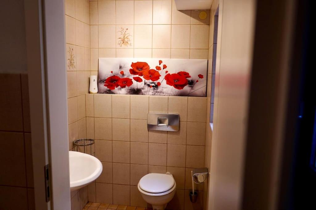 קלן Helle Kellerwohnung Im Gruenen Mit Sauna מראה חיצוני תמונה